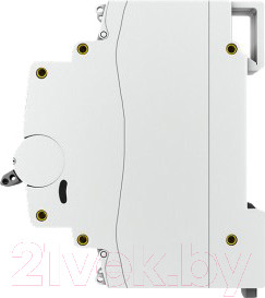 Изображение товара Выключатель нагрузки EKF PROxima ВН-63 1п 25А / SL63-1-25-pro