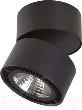 Изображение товара Точечный светильник Lightstar Forte Muro 214817