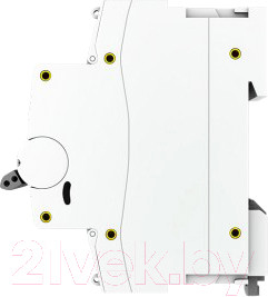 Изображение товара Выключатель автоматический EKF PROxima ВА 47-100 3P 63A (C) 10kA / mcb47100-3-63C-pro