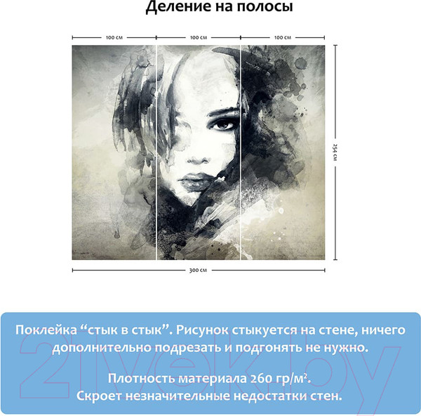 Изображение товара Фотообои листовые Citydecor Нуар (300x254)