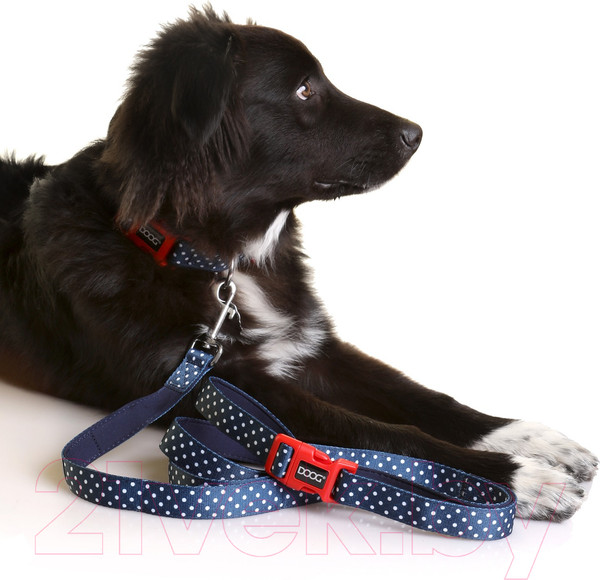Изображение товара Ошейник DOOG Stella / COLNWS-XS (синий в белый горох)