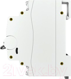 Изображение товара Выключатель автоматический EKF PROxima ВА 47-63 1P 25А (B) 4.5kA / mcb4763-1-25B-pro