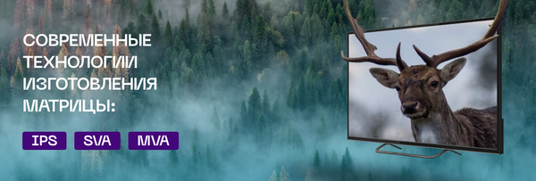 Изображение товара Телевизор POLAR P50L22T2SCSM