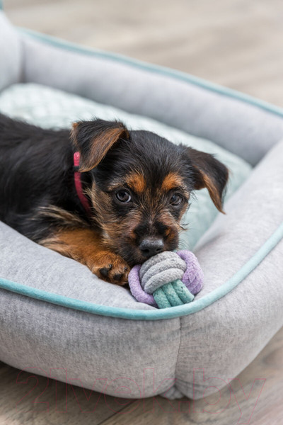 Изображение товара Игрушка для собак Trixie Гантели 32811