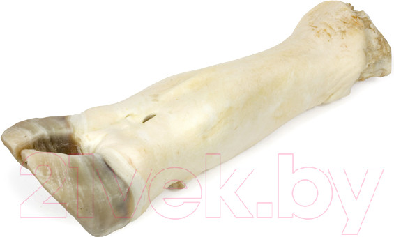 Изображение товара Лакомство для собак TiTBiT Нога говяжья большая / 319434