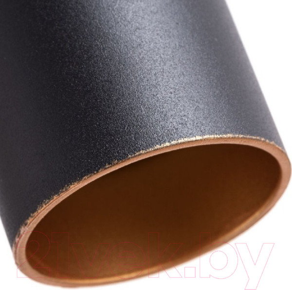 Изображение товара Потолочный светильник Arte Lamp Torre A1530SP-1BK