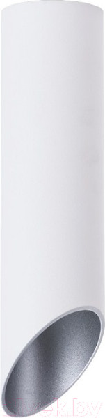 Изображение товара Потолочный светильник Arte Lamp Pilon-Silver A1535PL-1WH