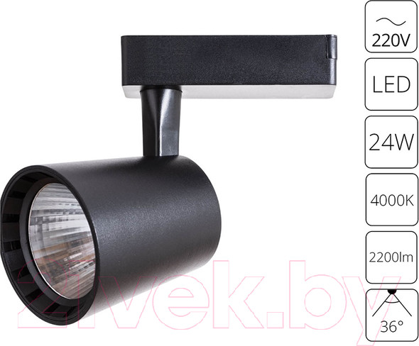 Изображение товара Трековый светильник Arte Lamp Atillo A2324PL-1BK