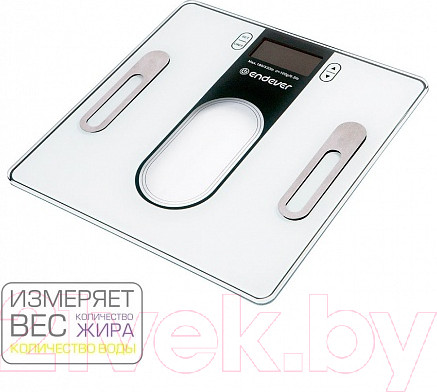 Изображение товара Напольные весы электронные Endever Aurora 553 (голубой)