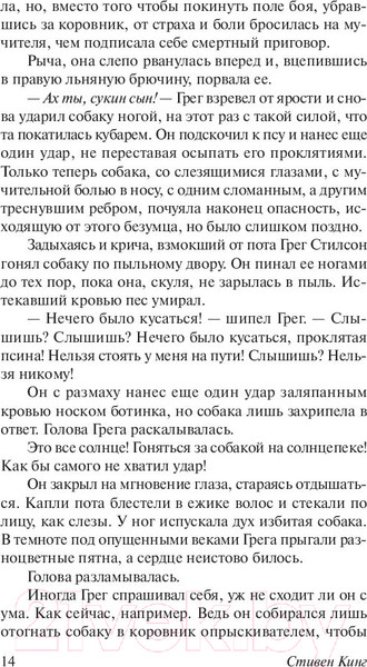 Изображение товара Книга АСТ Мертвая зона (Кинг С.)