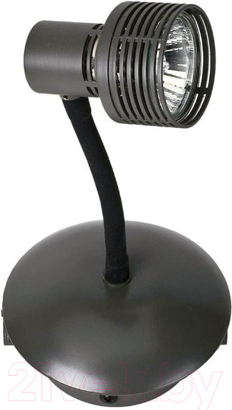 Изображение товара Трековый светильник Lussole Loft Bay Shore GRLSP-9821