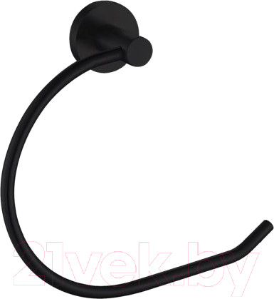 Изображение товара Держатель для полотенца Aquanet 4580MB