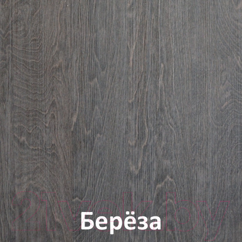 Изображение товара Шкаф-купе Кортекс-мебель Лагуна ШК04-00 (береза, правая консоль)