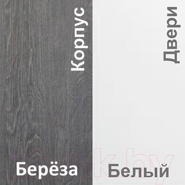 Изображение товара Шкаф-купе Кортекс-мебель Лагуна ШК01-01 (береза/белый)