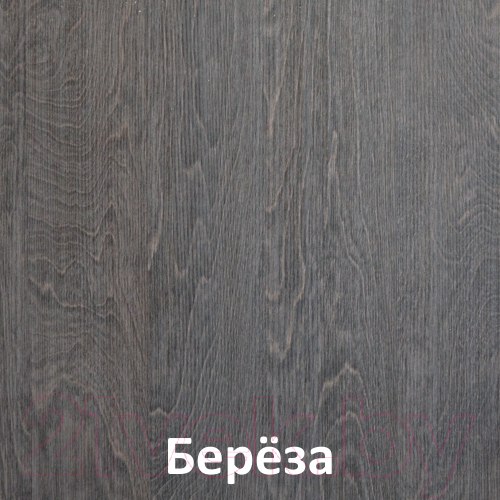 Изображение товара Шкаф-купе Кортекс-мебель Лагуна ШК04-01 (береза, правая консоль)