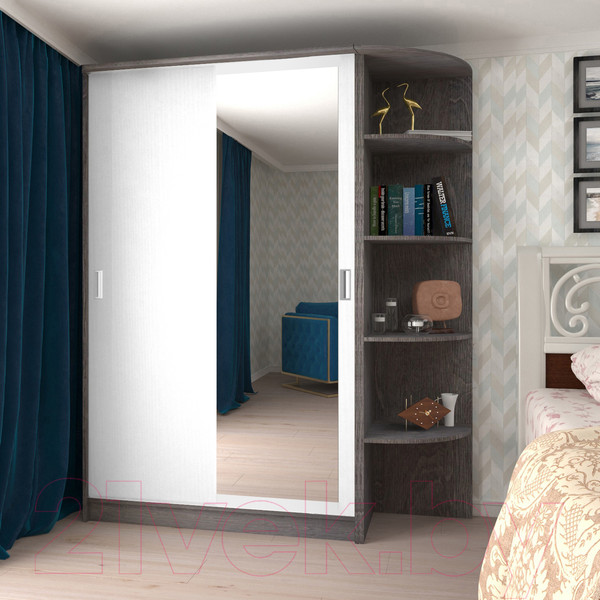 Изображение товара Шкаф-купе Кортекс-мебель Лагуна ШК05-01 (береза/белый, правая консоль)