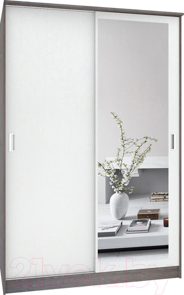 Изображение товара Шкаф-купе Кортекс-мебель Лагуна ШК02-01 (береза/белый)