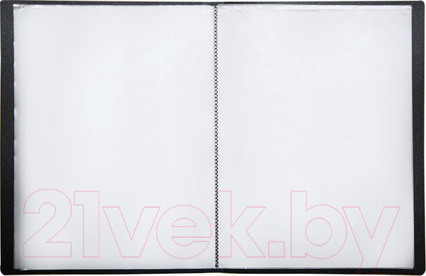 Изображение товара Папка для бумаг OfficeSpace F60L1 295 (черный)