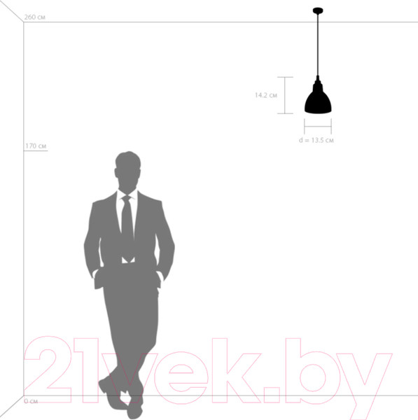 Изображение товара Потолочный светильник Lightstar Loft 865017