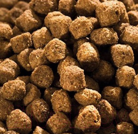 Изображение товара Сухой корм для кошек Happy Cat Minkas Kitten Care Geflugel / 70406 (10кг)