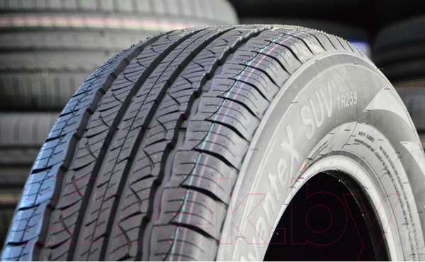 Изображение товара Летняя шина Triangle TR259 255/50R19 107V