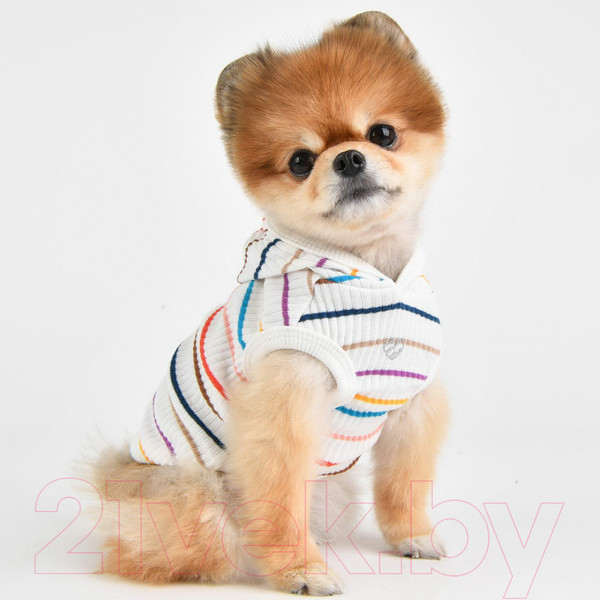 Изображение товара Футболка для животных Pinkaholic Yara с капюшоном / NAUA-TS7603-OW-L (белый)