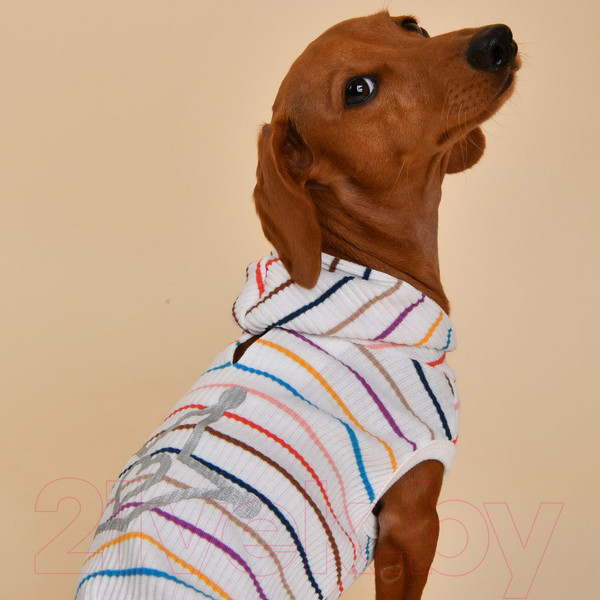 Изображение товара Футболка для животных Pinkaholic Yara с капюшоном / NAUA-TS7603-OW-L (белый)