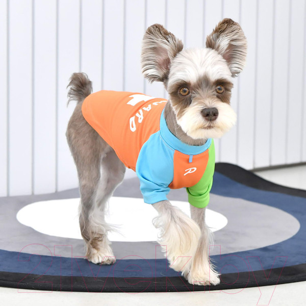 Изображение товара Футболка для животных Puppia Rescuer / PAUA-TS1803-OR-M (M, оранжевый)
