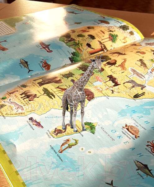 Изображение товара Атлас Белкартография Растения и животные мира 3D (с наклейками)