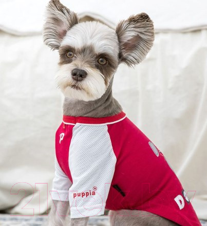 Изображение товара Футболка для животных Puppia Sniffer / PAUA-TS1807-RD-L (L, красный)