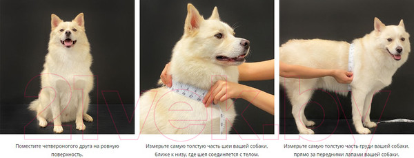 Изображение товара Шлея-жилетка для животных Puppia Algo / PARA-HA1532-WH-L (белый)