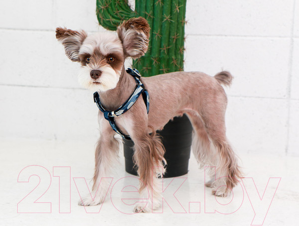 Изображение товара Шлея Puppia Bobby X / PARA-HX1523-NC-S (синий камуфляж)