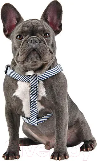 Изображение товара Шлея Puppia Bobby X / PARA-HX1523-SN-M (синий в полоску)
