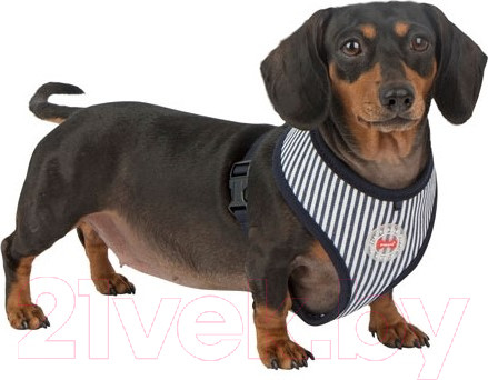 Изображение товара Шлея-жилетка для животных Puppia Bobby / PARA-HA1523-SN-L (синий в полоску)