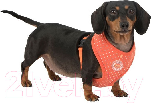 Изображение товара Шлея-жилетка для животных Puppia Dotty / PARA-HA1529-OR-S (оранжевый)