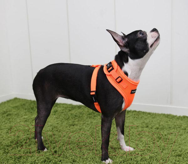 Изображение товара Шлея-жилетка для животных Puppia Neon Soft / PAQA-AC1430-OR-L (оранжевый)