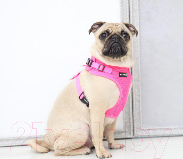 Изображение товара Шлея-жилетка для животных Puppia Neon Soft / PAQA-AC1430-PK-L (розовый)