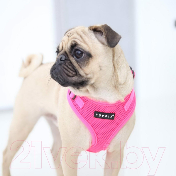 Изображение товара Шлея-жилетка для животных Puppia Neon Soft / PAQA-AC1430-PK-L (розовый)
