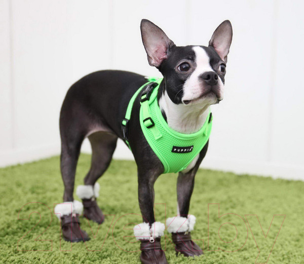 Изображение товара Шлея-жилетка для животных Puppia Neon Soft / PAQA-AC1430-GR-L (салатовый)