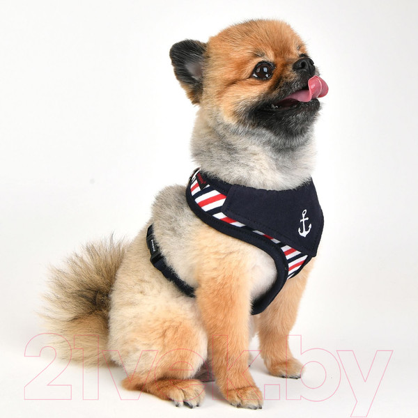 Изображение товара Шлея-жилетка для животных Puppia Seaman / PAUA-HA1832-NY-XL (синий)