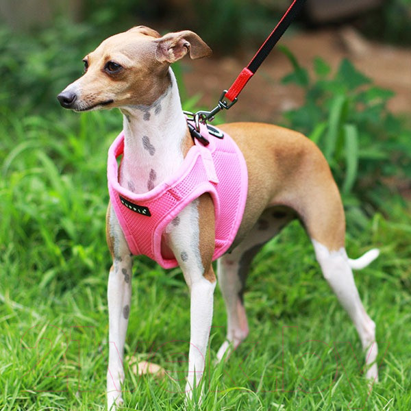 Изображение товара Шлея-жилетка для животных Puppia Soft Vest / PAHA-AH305-PK-L (розовый)