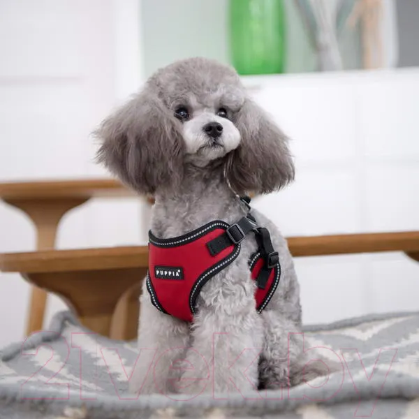 Изображение товара Шлея-жилетка для животных Puppia Trek / PLRA-HC9323-RD-S (красный)