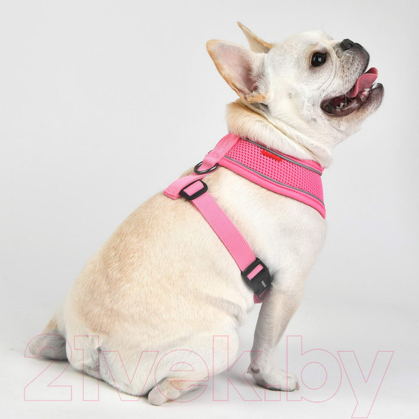 Изображение товара Шлея-жилетка для животных Puppia Soft / PAUA-HA1828-PK-XL (розовый/светоотражающий)