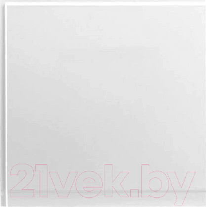 Изображение товара Экран для ванны Aquanet Palma 60 R (боковой)