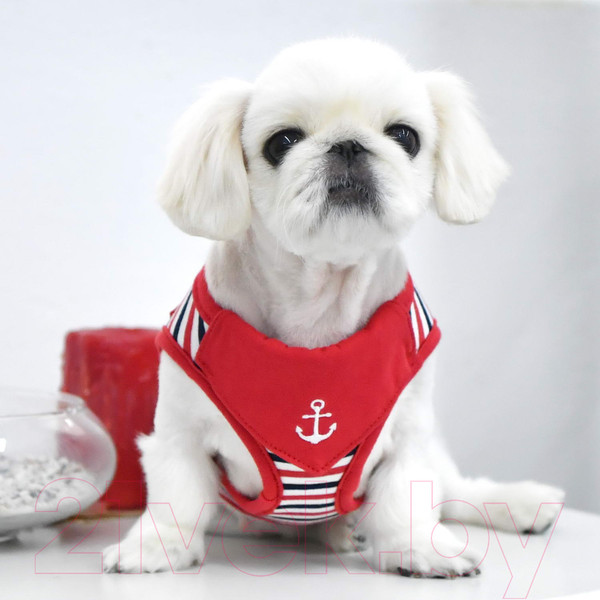 Изображение товара Шлея-жилетка для животных Puppia Seaman / PAUA-HB1832-RD-S (красный)
