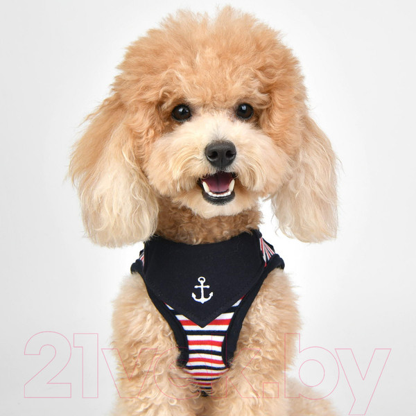 Изображение товара Шлея-жилетка для животных Puppia Seaman / PAUA-HB1832-NY-L (синий)