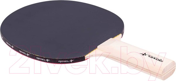 Изображение товара Ракетка для настольного тенниса Roxel Hobby Start (прямая)
