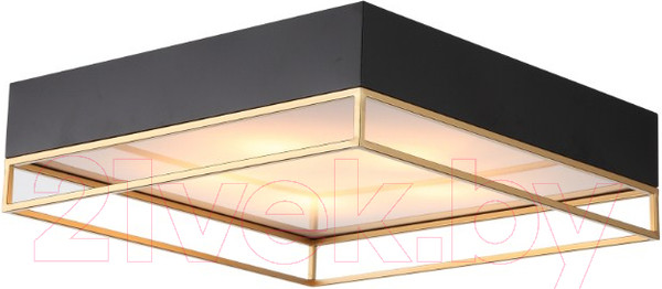 Изображение товара Потолочный светильник ST Luce Chodo SL1127.422.05