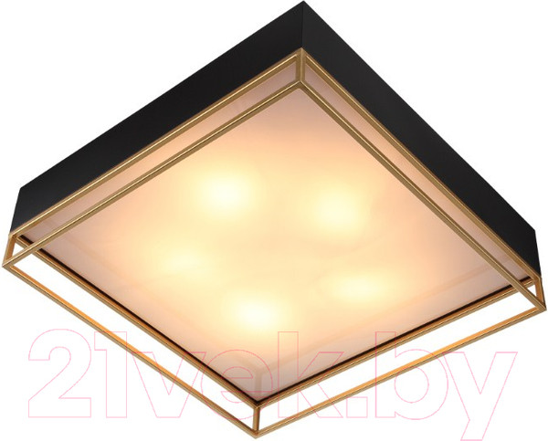 Изображение товара Потолочный светильник ST Luce Chodo SL1127.422.05