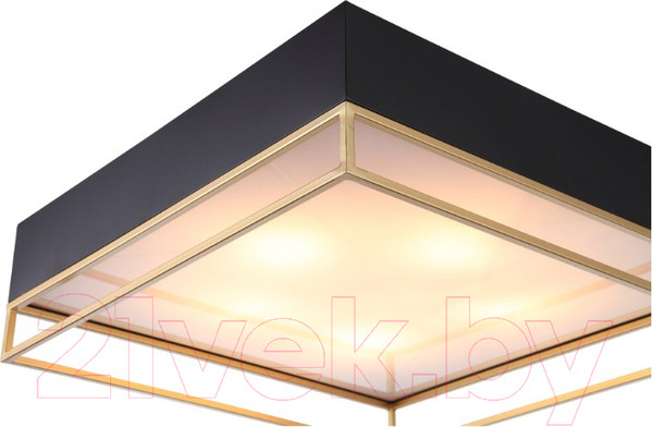 Изображение товара Потолочный светильник ST Luce Chodo SL1127.422.05